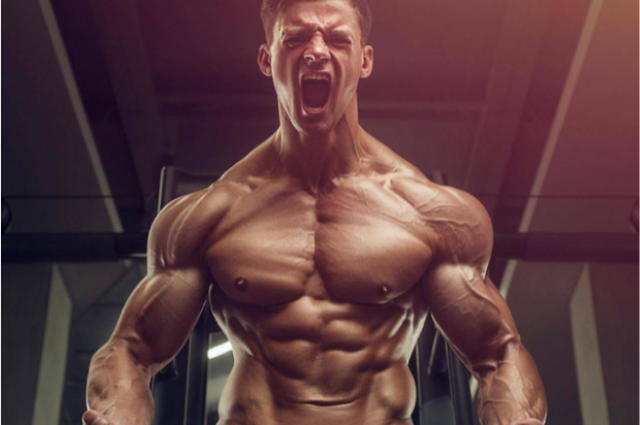 Anabolic Steroids for Muscle Growth