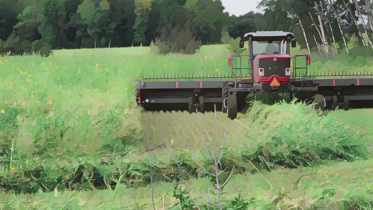 A swather harvesting crops in a lush green field with trees in the background.